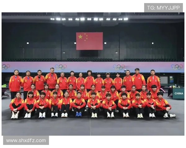 乒乓球意识排行榜揭晓杭州乒乓球队荣登第四名引发关注
